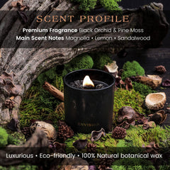 Luxurious manifestation candle with wood wick