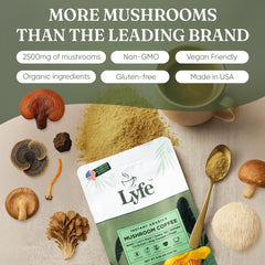 Mushroom blend image showing Lion's Mane, Chaga, Cordyceps, Turkey Tail and King Trumpet