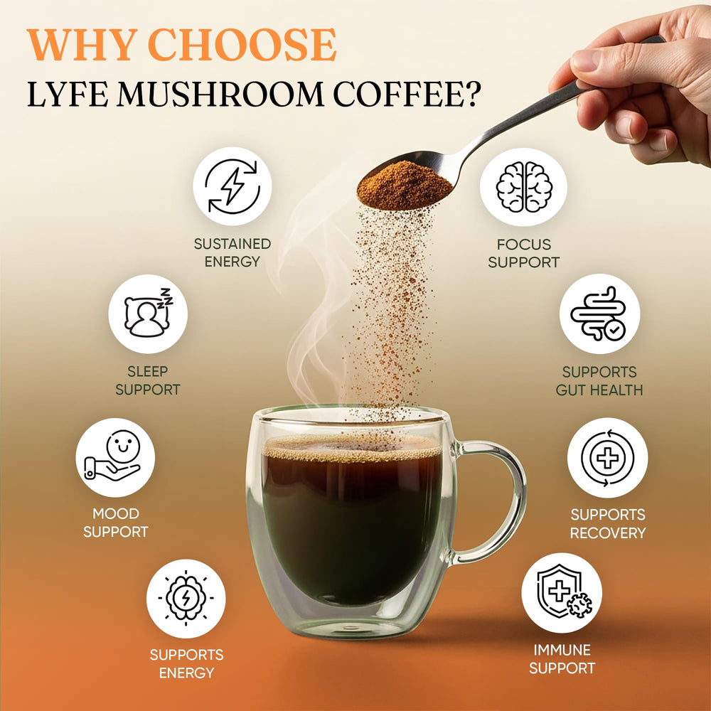 Chaga, Cordyceps, and Turkey Tail mushrooms close-up