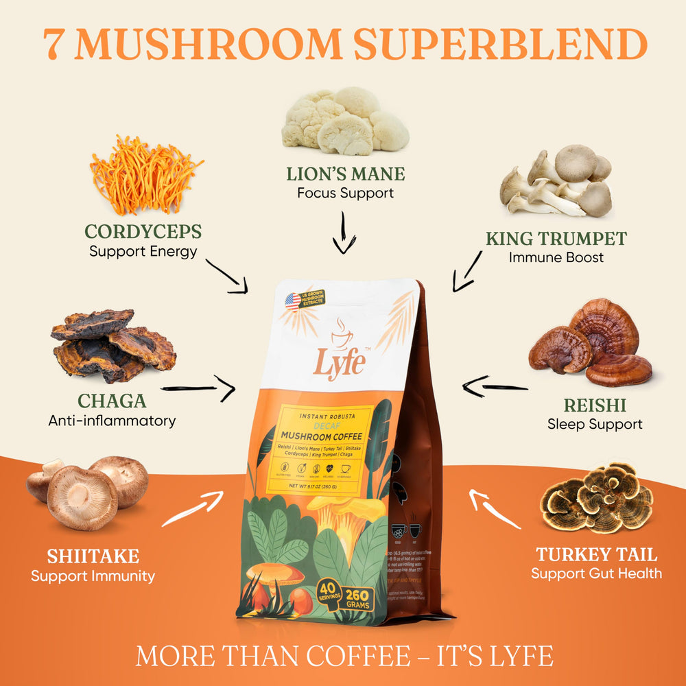 Lion’s Mane, Chaga, Cordyceps and other mushrooms close-up (ingredients)