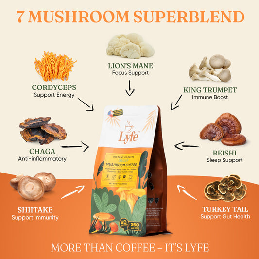 Lion’s Mane, Chaga, Cordyceps and other mushrooms close-up (ingredients)