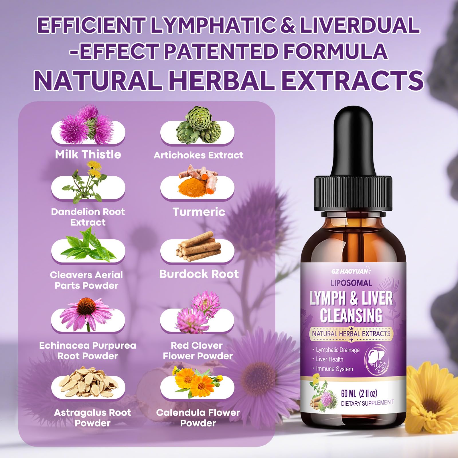 Ingredient overview: Milk Thistle, Artichoke, Turmeric