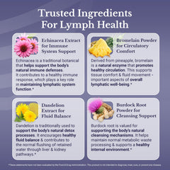 Dandelion extract ingredient for Lymph MD