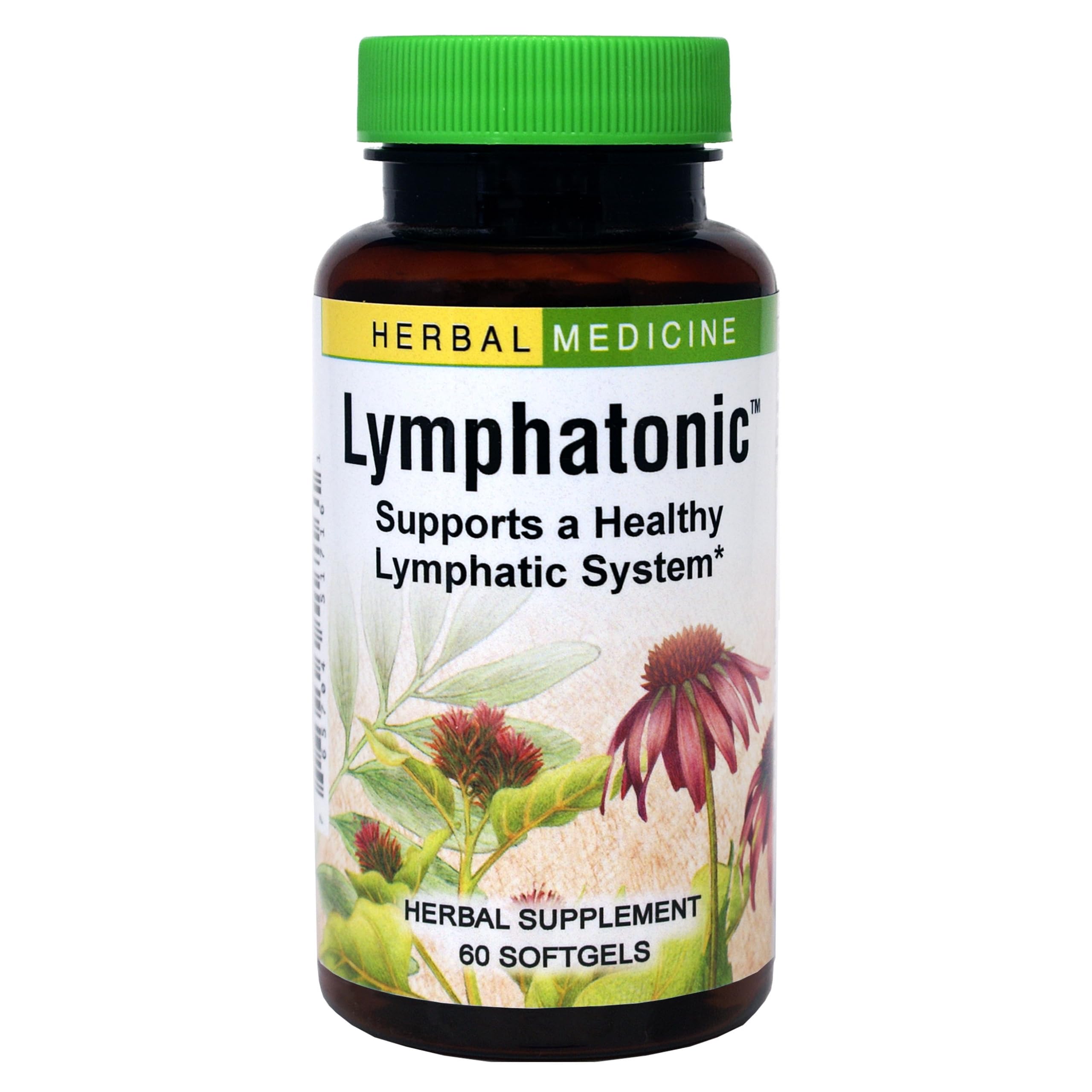Bottle of Herbs ETC. Lymphatonic Sg 60 CT with label