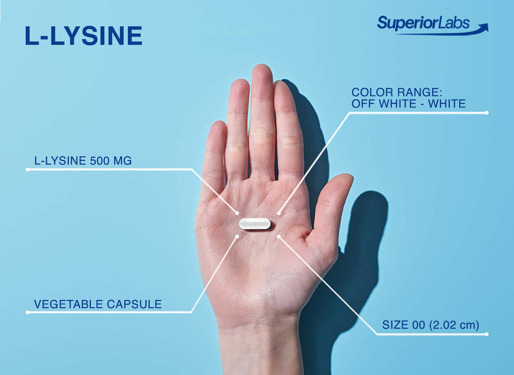 L-Lysine 500 mg aiding calcium absorption