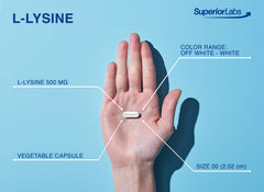 L-Lysine 500 mg aiding calcium absorption