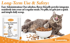 Cat experiencing respiratory relief with reduced sneezing and watery eyes