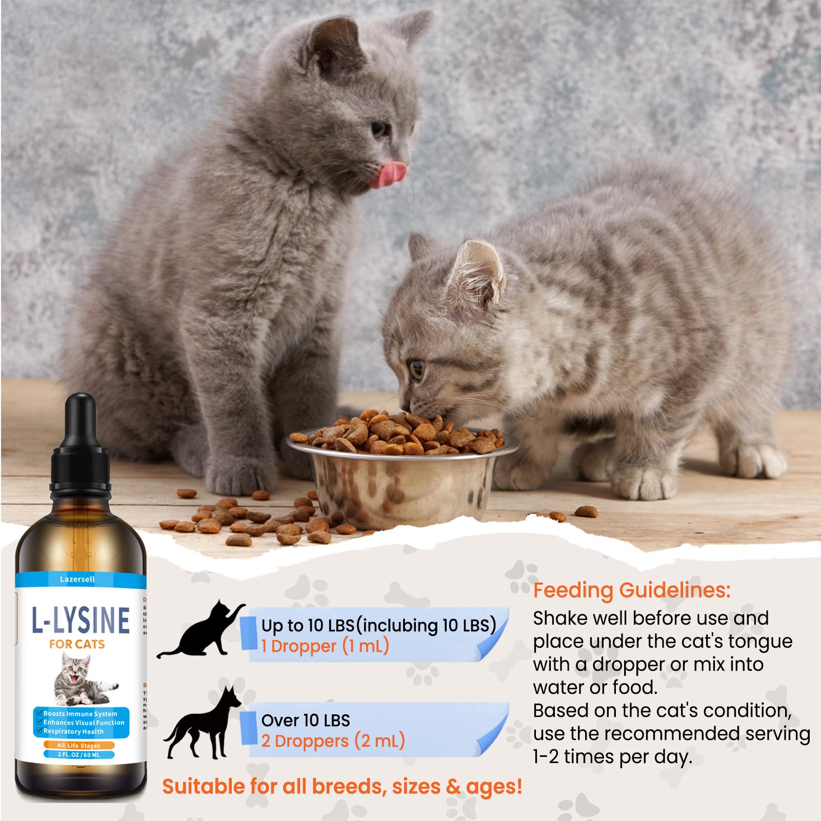 Cat eye health imagery associated with Lysine supplementation