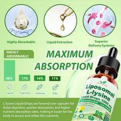 Two full droppers per day dosing guide for lysine liquid drops