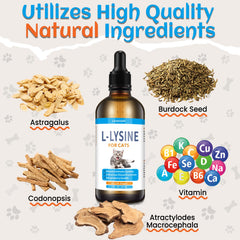 Chicken-flavored liquid Lysine for cats in a bottle