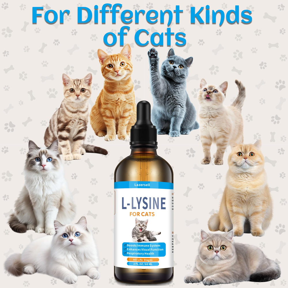 Product packaging and label for Lysine for Cats 2-Pack