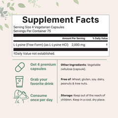 Close-up of L-Lysine Hydrochloride 2000mg per serving