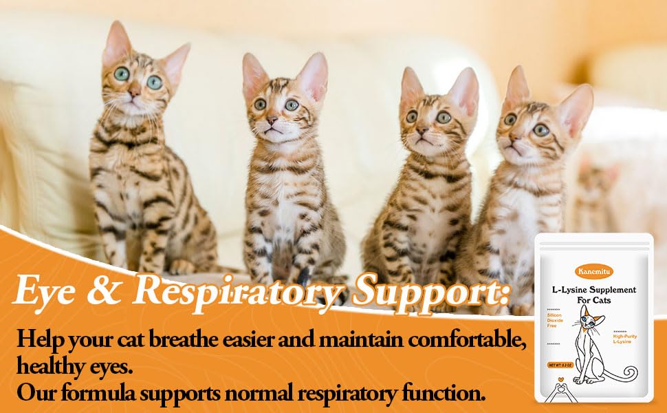 Dosage guidance for kittens and adult cats: 250 mg and 500 mg per serving
