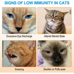 Packaging of L-Lysine cat supplement and 120g label