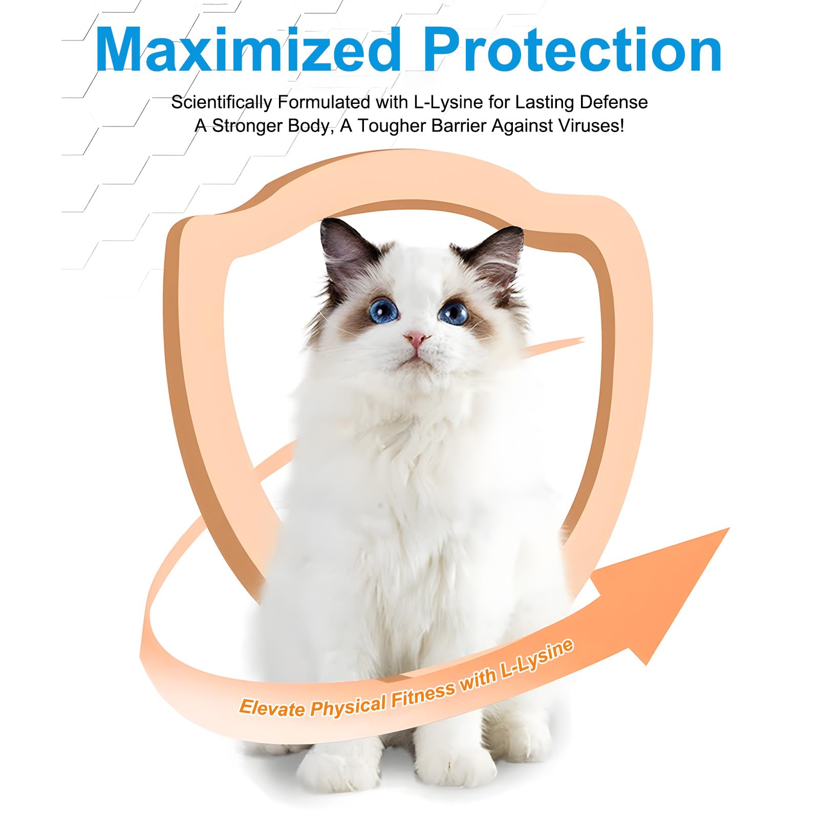 L-Lysine powder aiding eye and respiratory health in cat
