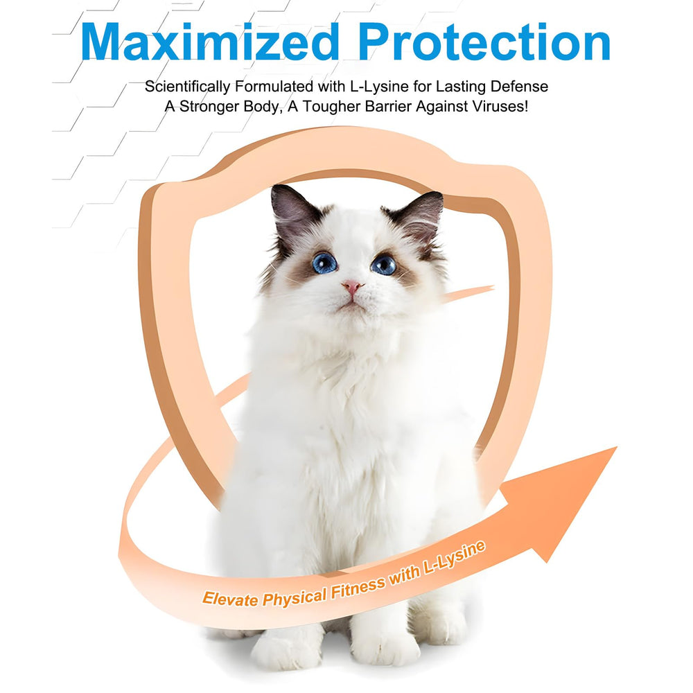 L-Lysine powder aiding eye and respiratory health in cat