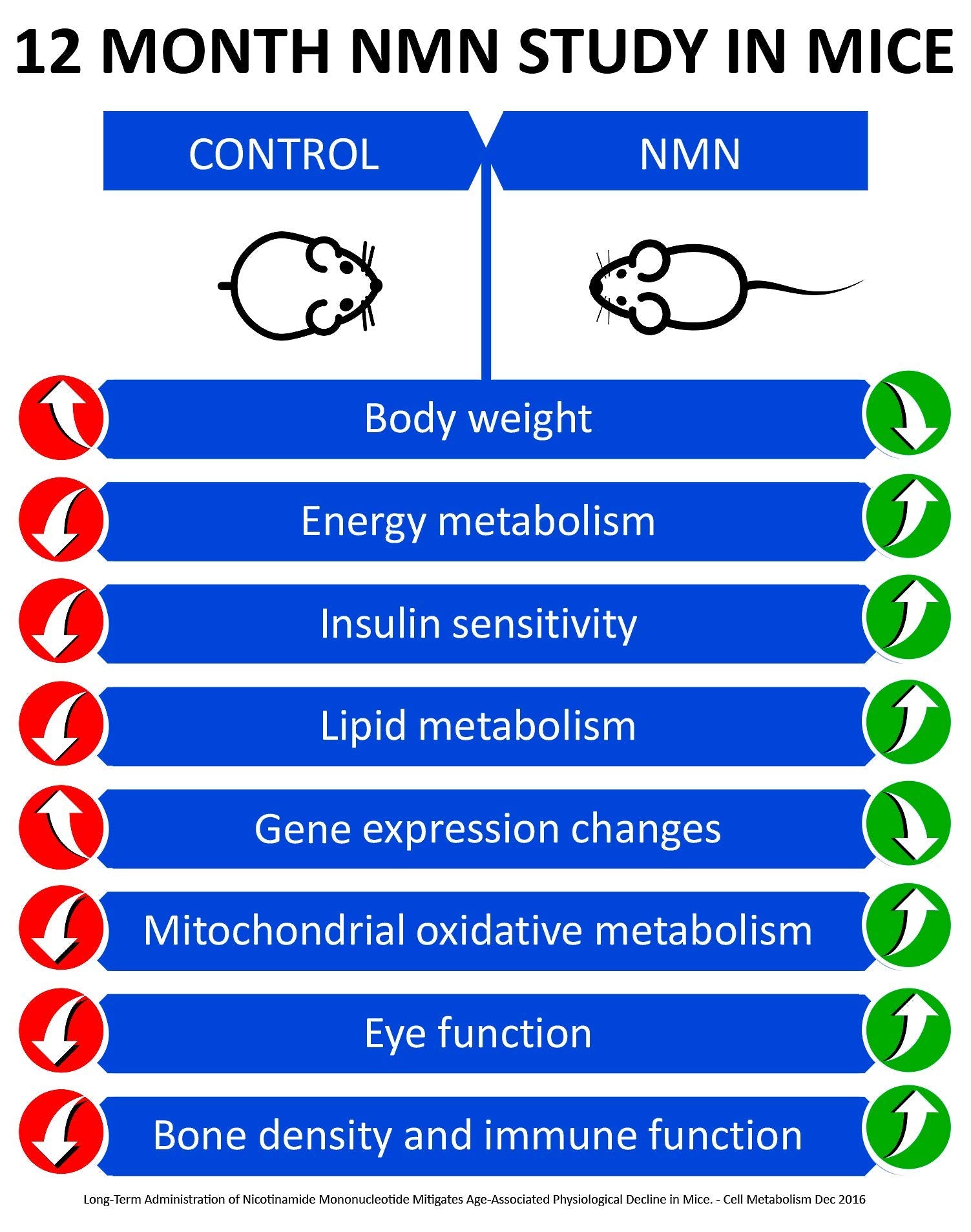 Close-up of NMN capsules showing 125mg per capsule