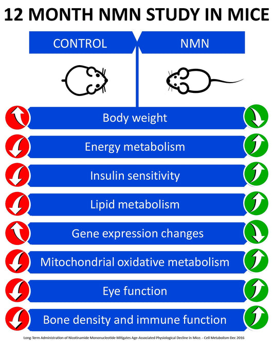 Close-up of NMN capsules showing 125mg per capsule