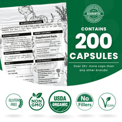 Close-up of maca root powder nutrition and ingredients