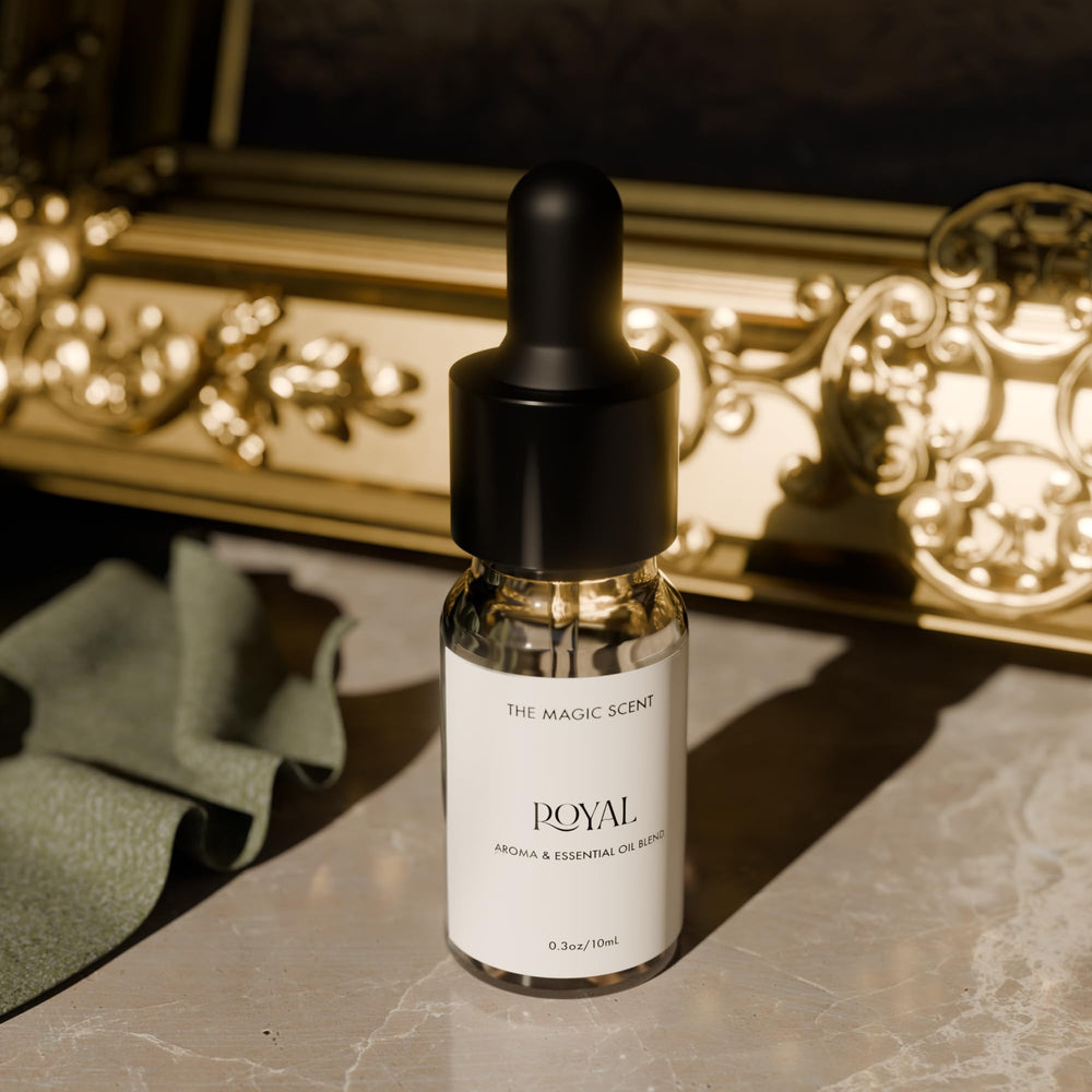 Diffuser setup with Cold-Air and Ultrasonic diffuser in an elegant room