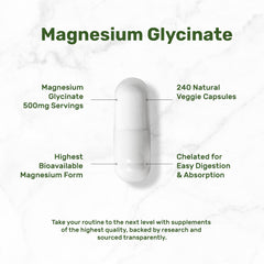 Natural vegetarian capsule illustration