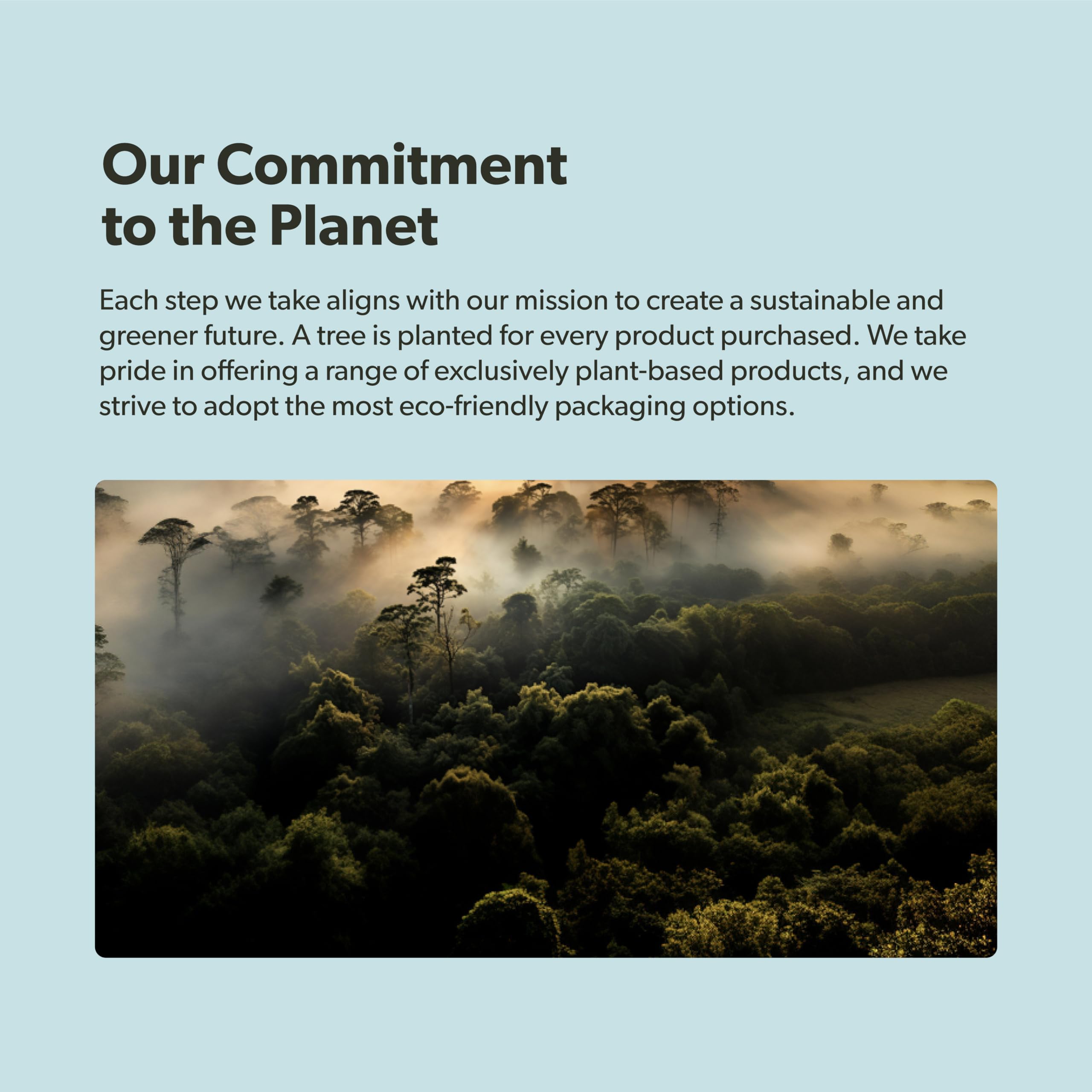 Sustainability notes: tree planting and plastic negative packaging