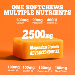 Supplement facts with magnesium, vitamin D, B6, and CoQ10