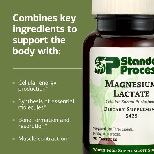 Diagram illustrating magnesium lactate absorption