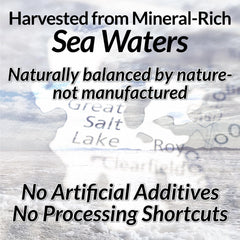 Illustration of magnesium and trace minerals