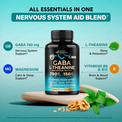 Magnesium, Vitamin B6 and Vitamin B12 ingredients graphic