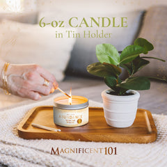 Scent notes of lemon, rosemary, and sandalwood
