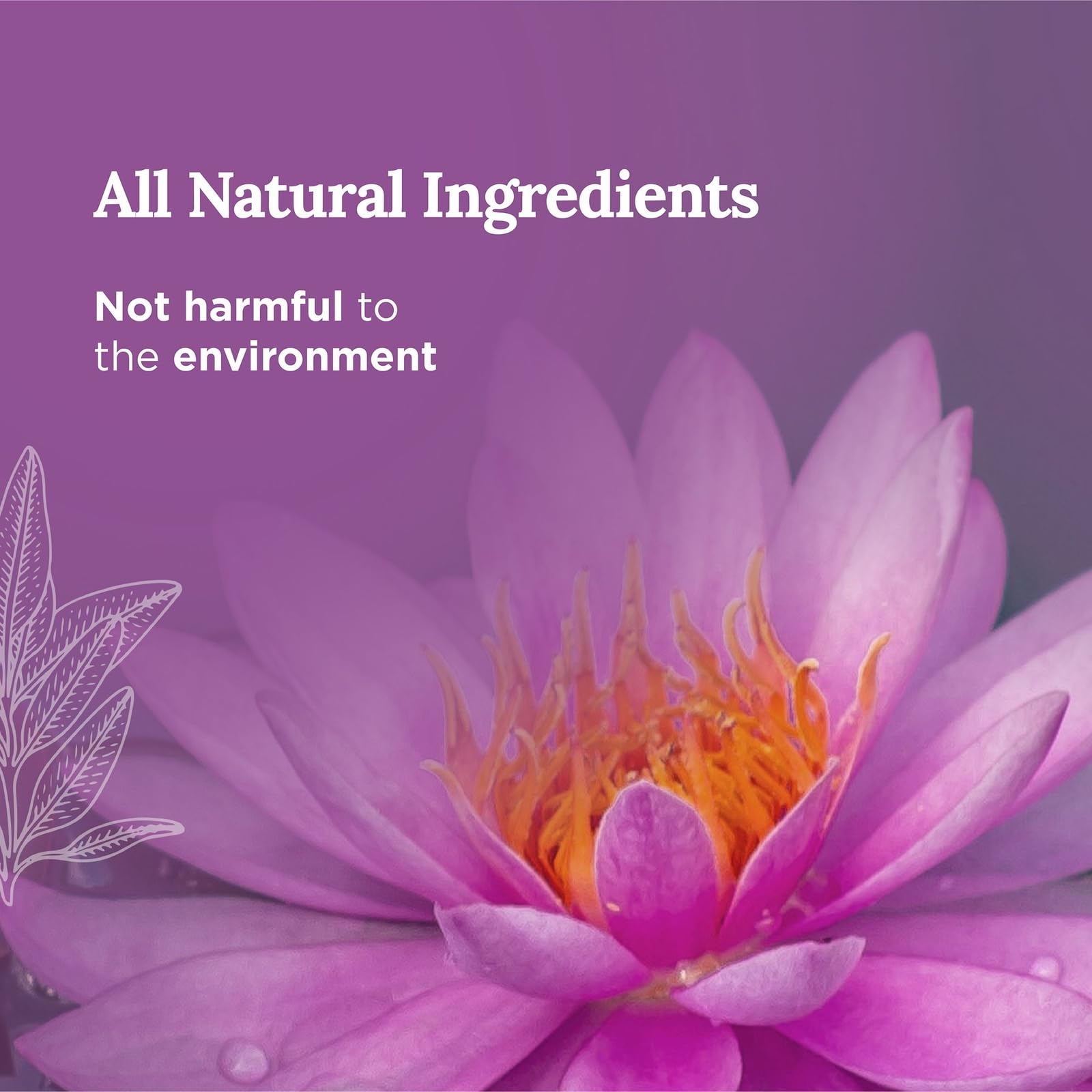 Product label showing Magnificent 101 branding