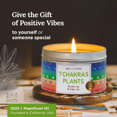 Gift-ready Magnificent 101 aromatherapy candle packaging