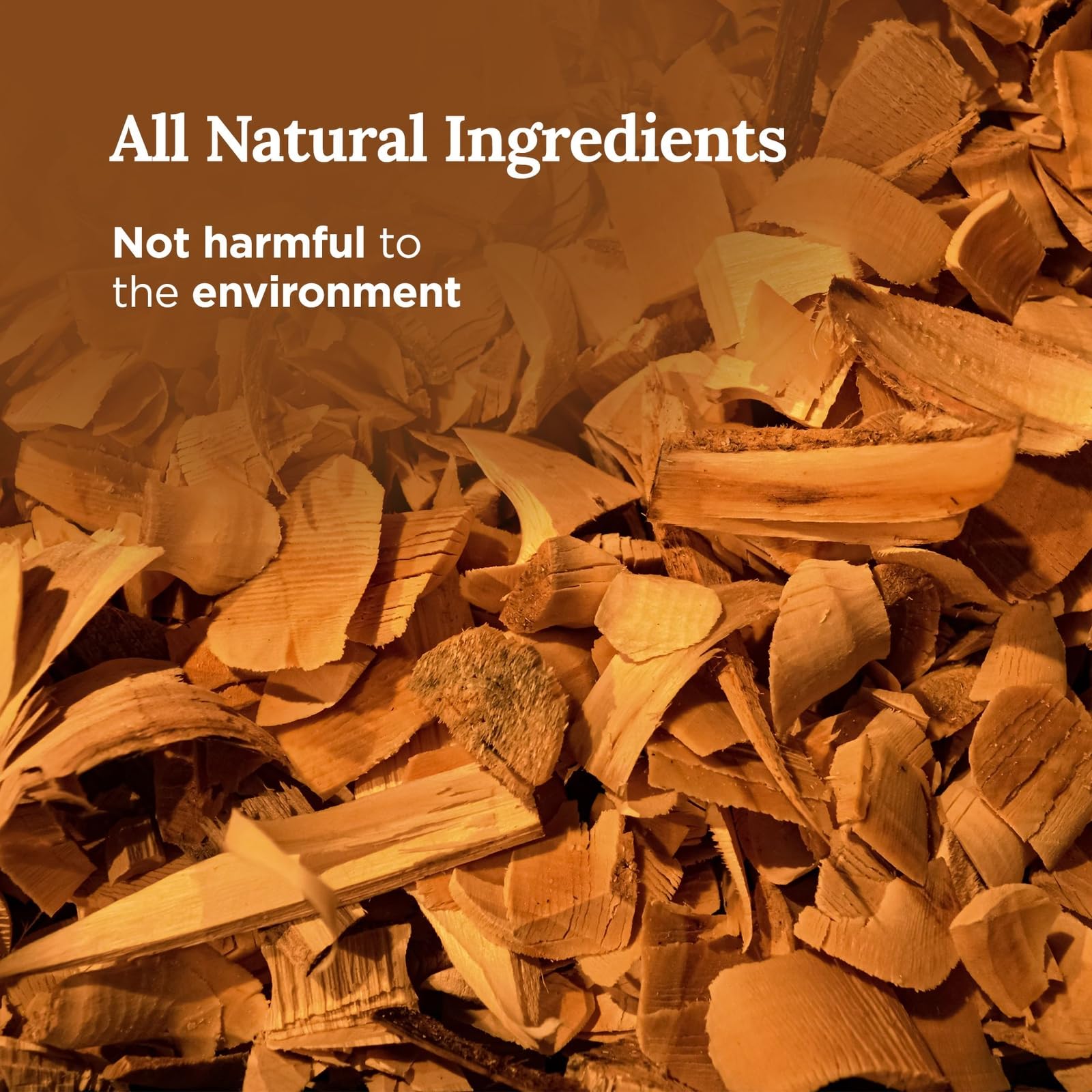 Scent notes: sage, gardenia, bergamot, and ginger