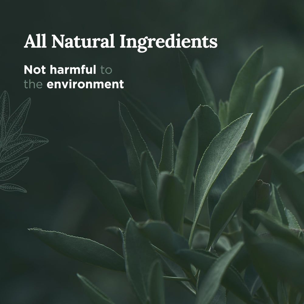 Close-up of the candle label highlighting Pure Sage and 56-Hour Burn Time