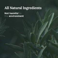 Close-up of the candle label highlighting Pure Sage and 56-Hour Burn Time