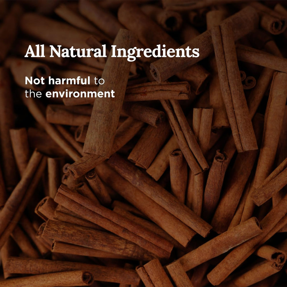 Sage and sandalwood blend label close-up from Magnificent 101 candle.