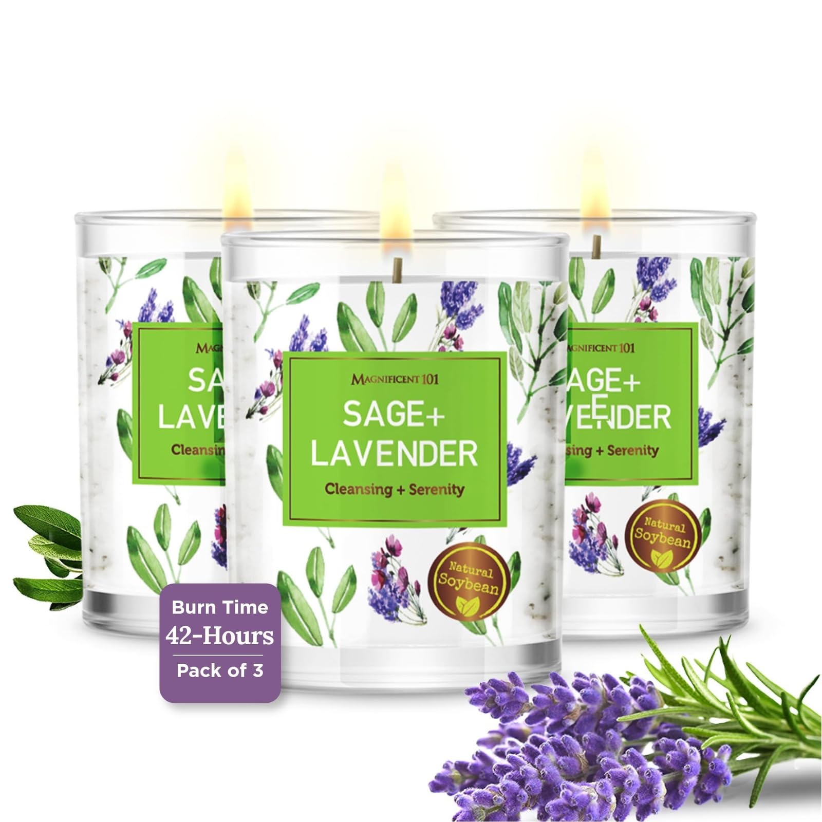 Magnificent 101 soy candle set of 3 in Sage & Lavender, 3.5 oz glass jars