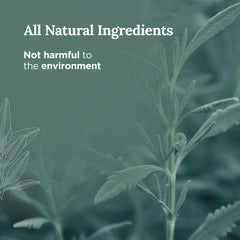 Long lasting White Sage candle by Magnificent 101 for purification
