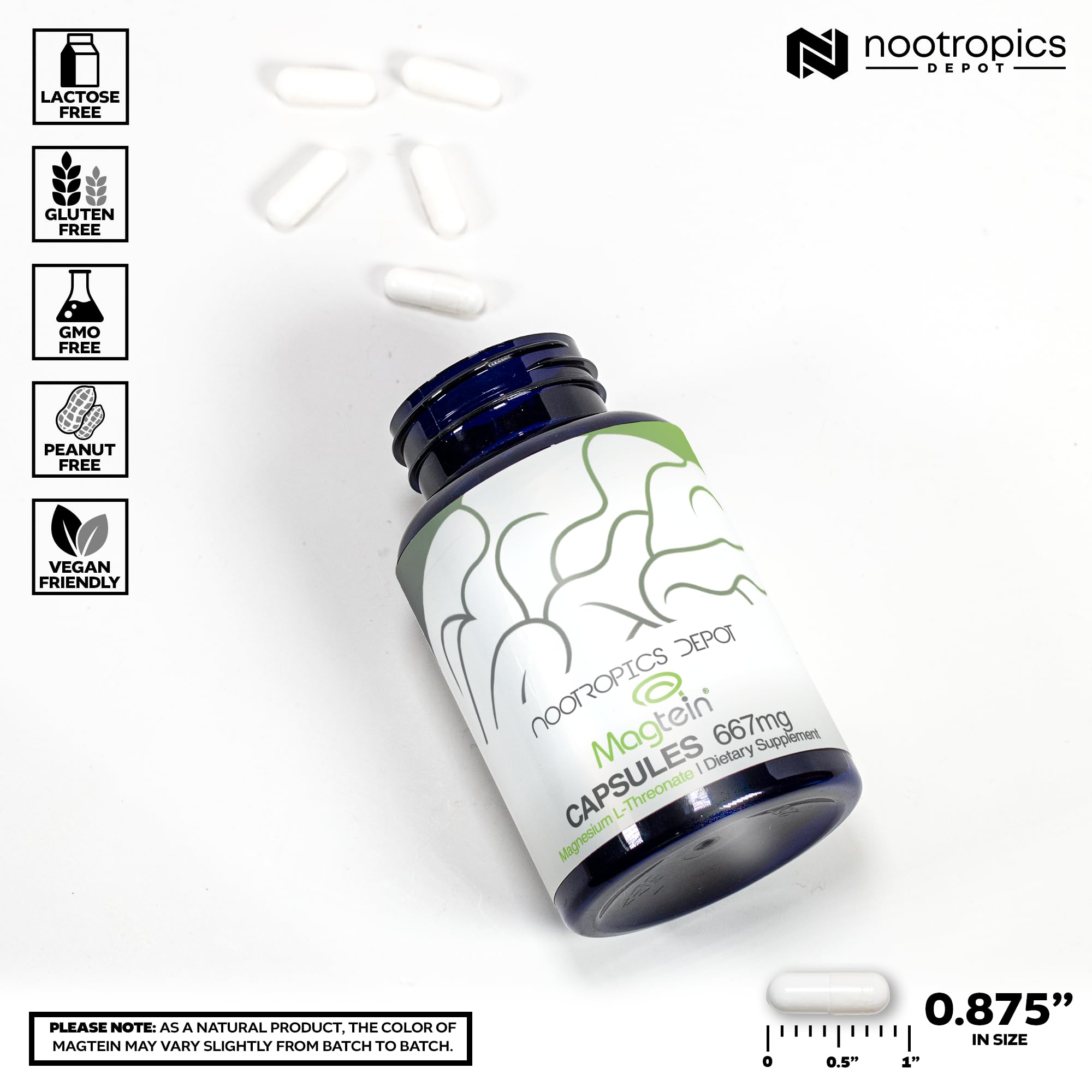 Graphic highlighting memory and brain health benefits of Magtein