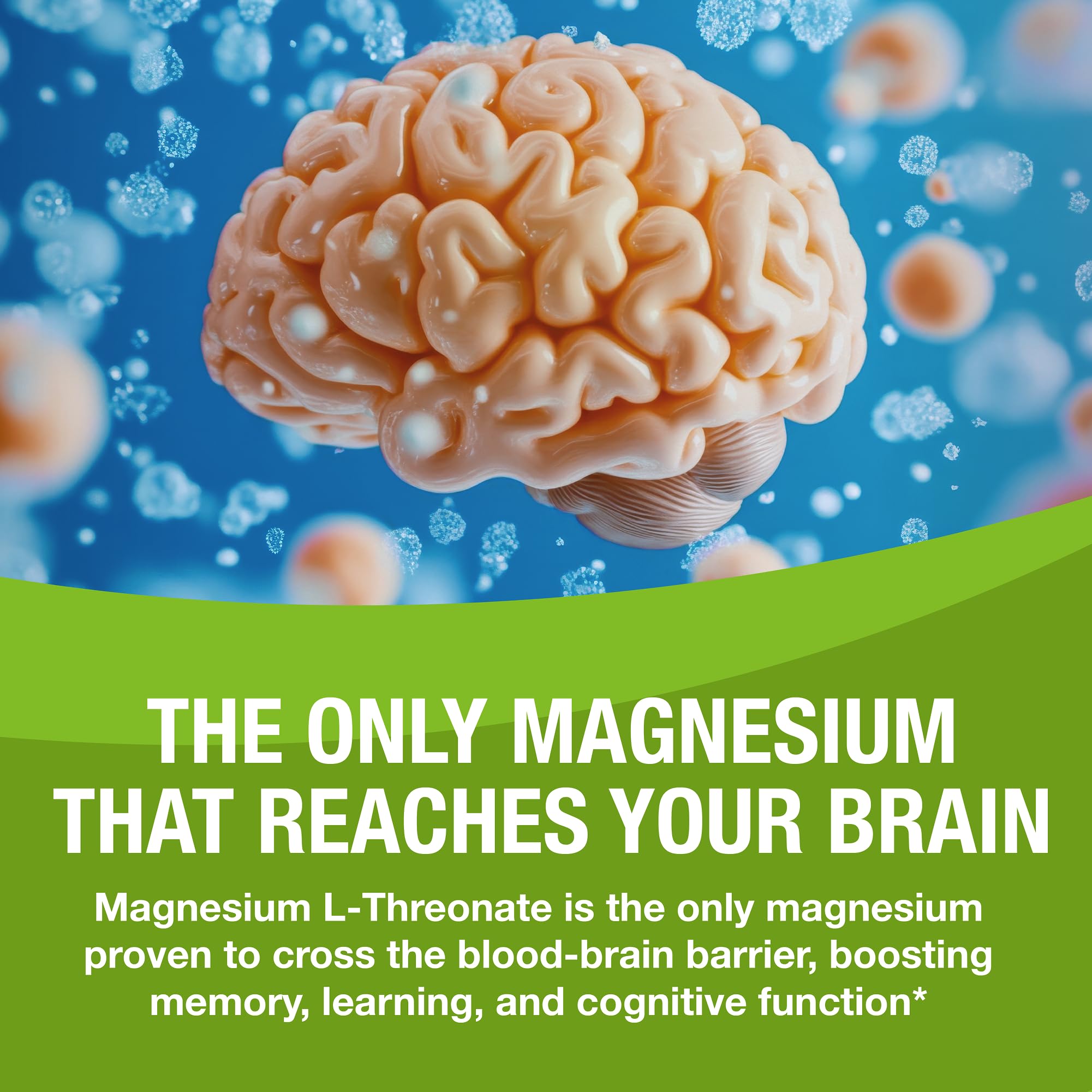 Memory and focus support with Magtein capsules