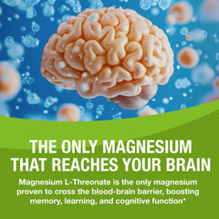Memory and focus support with Magtein capsules