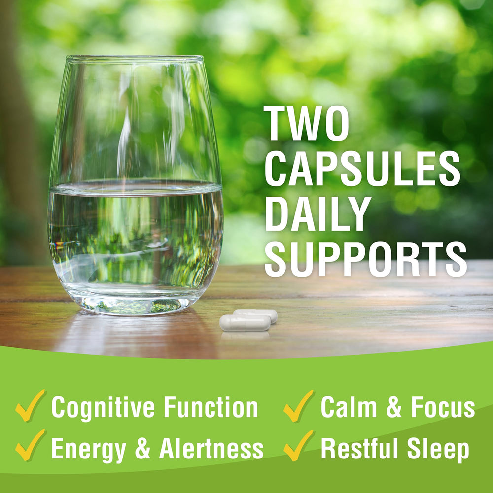 Magtein with Vitamin C and Vitamin D for brain absorption