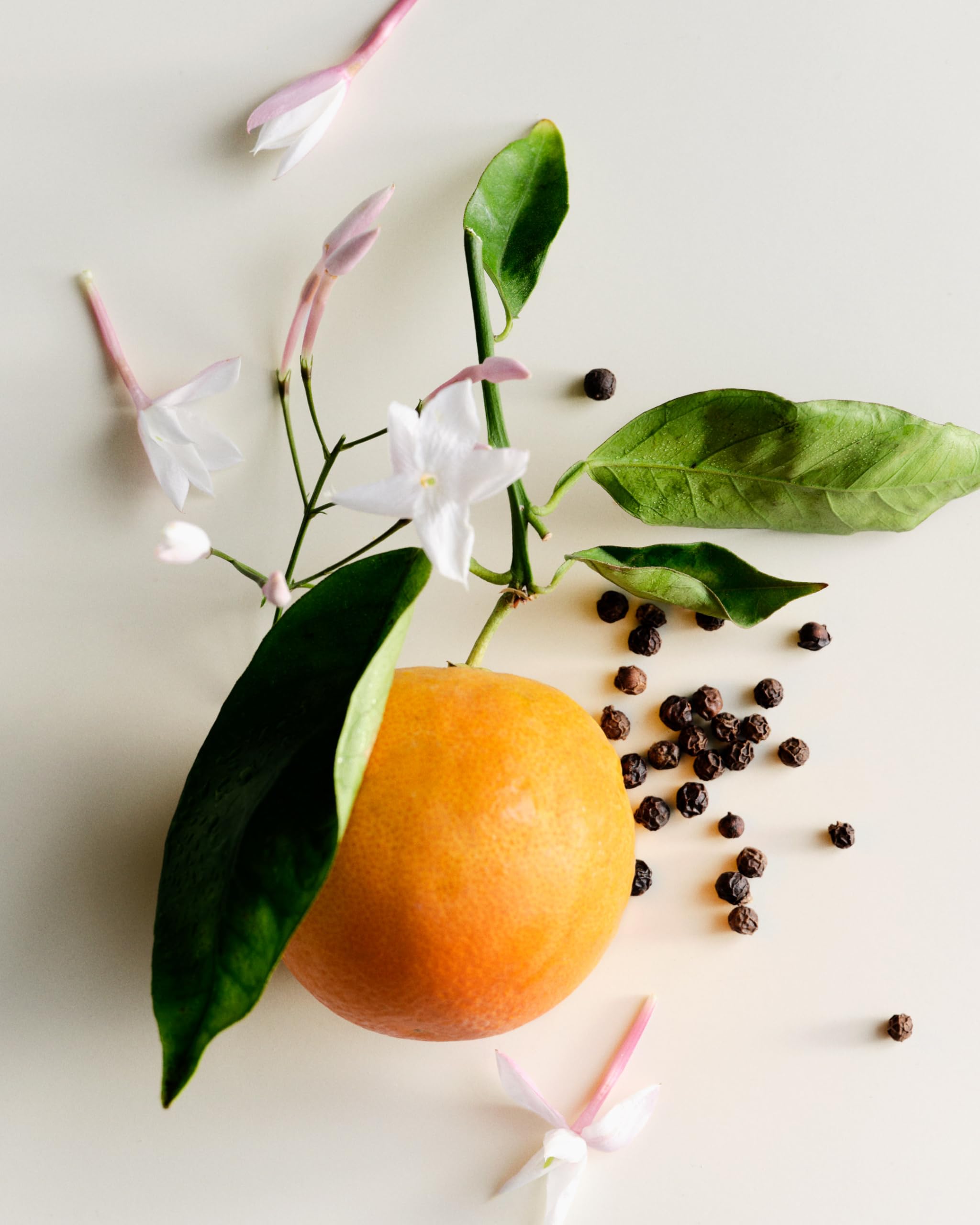 Vegan and cruelty-free promise graphic for Antidris Jasmine