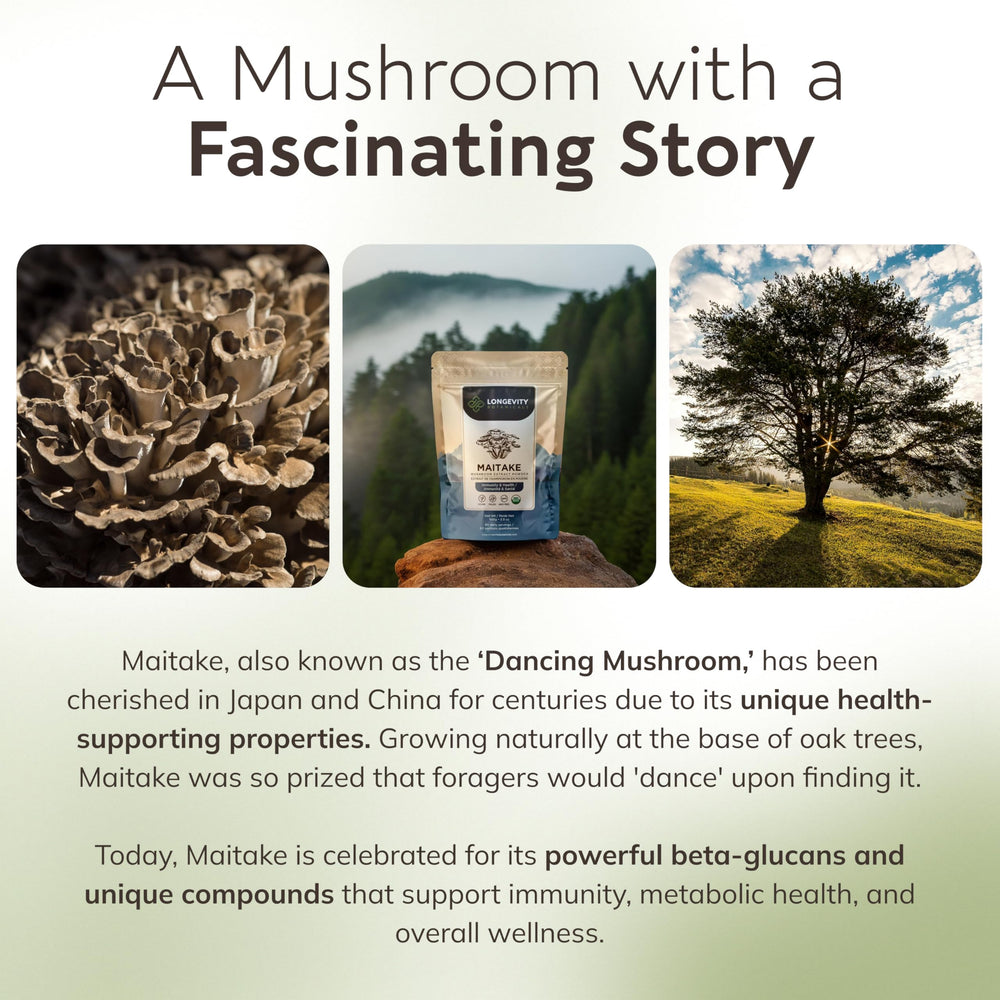 Maitake capsules with serving scoop