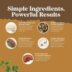 Maitake, Reishi, Chaga and Shiitake mushroom blend for cognitive support
