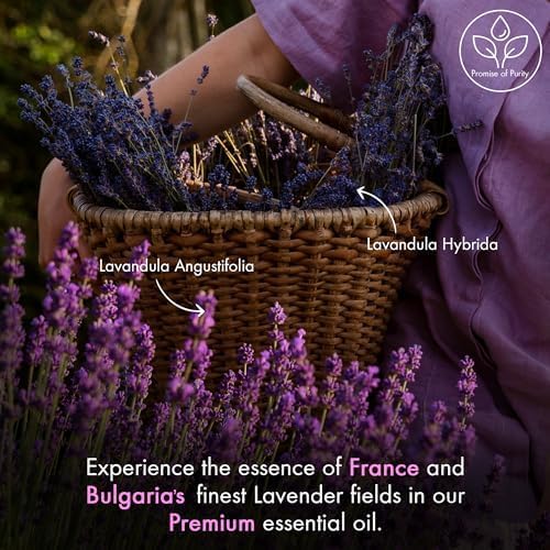 Lavandula angustifolia lavender essential oil bottle with label