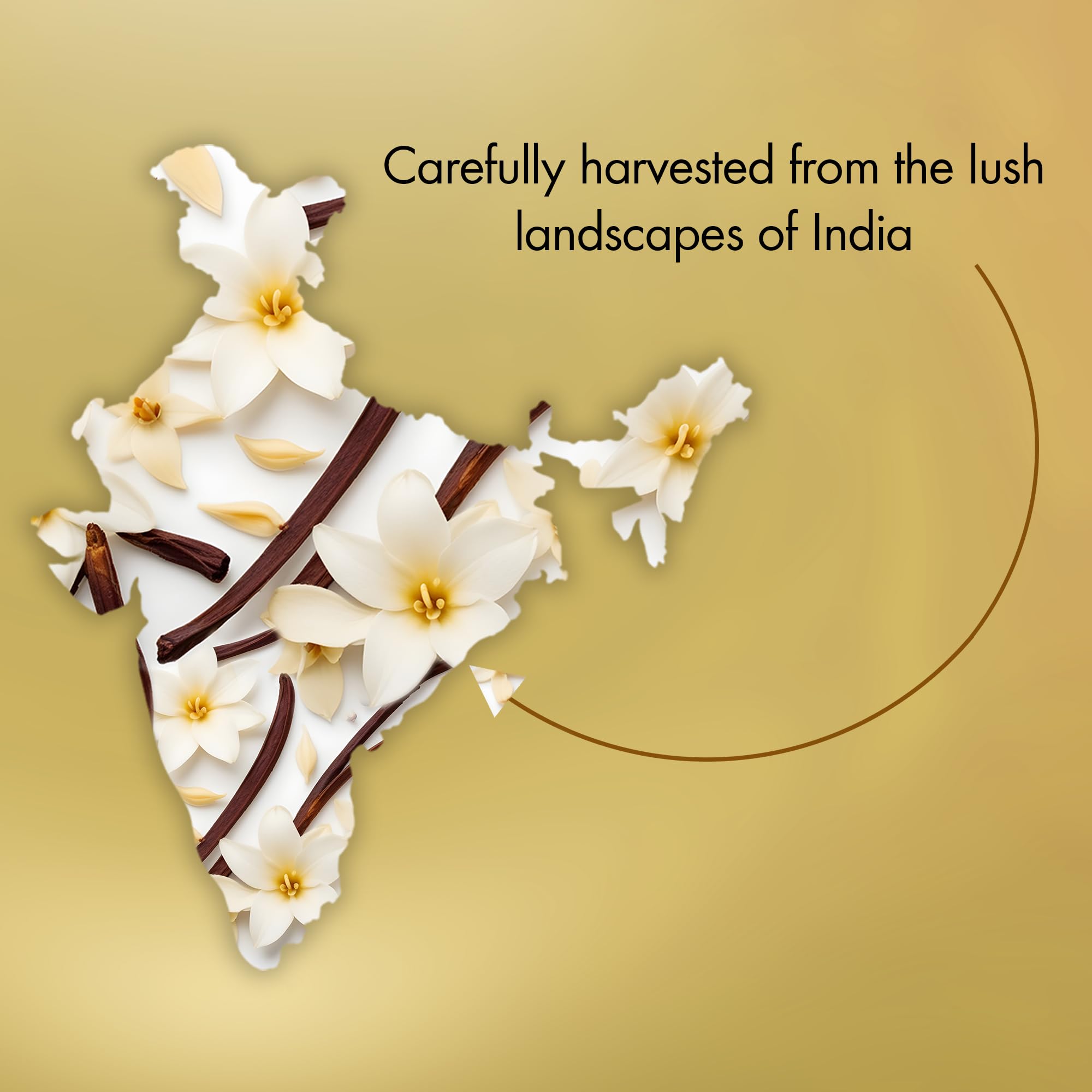 Majestic Pure Vanilla oil stored in UV-protected bottle maintains quality over time.