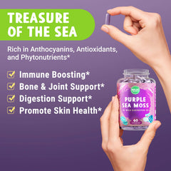 Sea moss capsules for thyroid and immune support