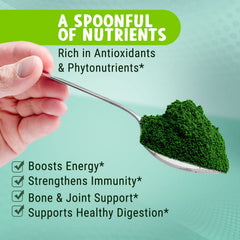 Spirulina powder sprinkled into a smoothie bowl